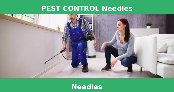 PEST CONTROL Needles